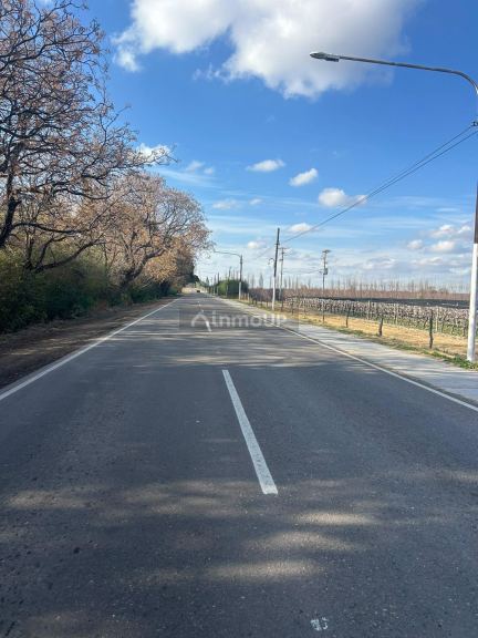 Junin corvalan