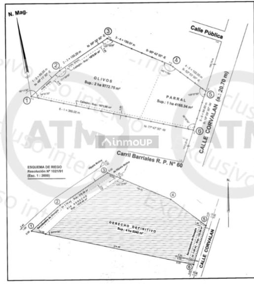 Terreno en Venta en Junin, Mendoza