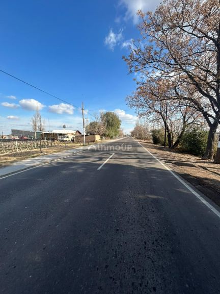Junin corvalan