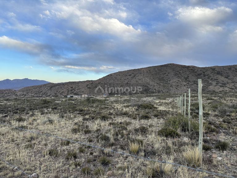 Lote en Venta en Lujan de Cuyo, Mendoza