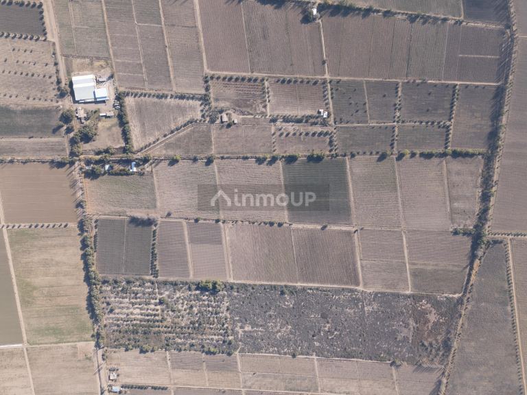 Finca en Venta en Junin, Mendoza - USD 150.000 | Inmoup - 10