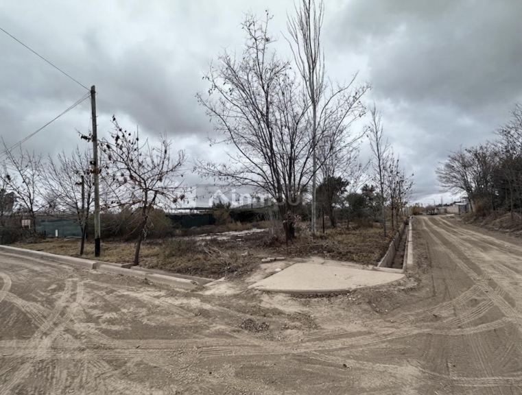 Lujan de Cuyo Amrpos III