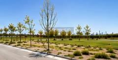 Lote en Venta en Maipu, Mendoza
