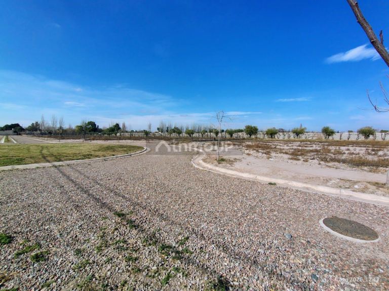 Lote en Venta en Lujan de Cuyo, Mendoza
