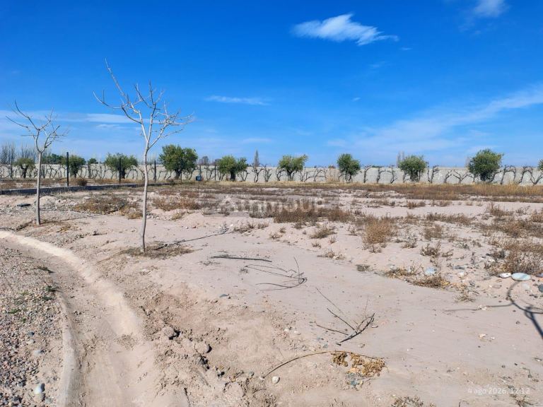 Lote en Venta en Lujan de Cuyo, Mendoza