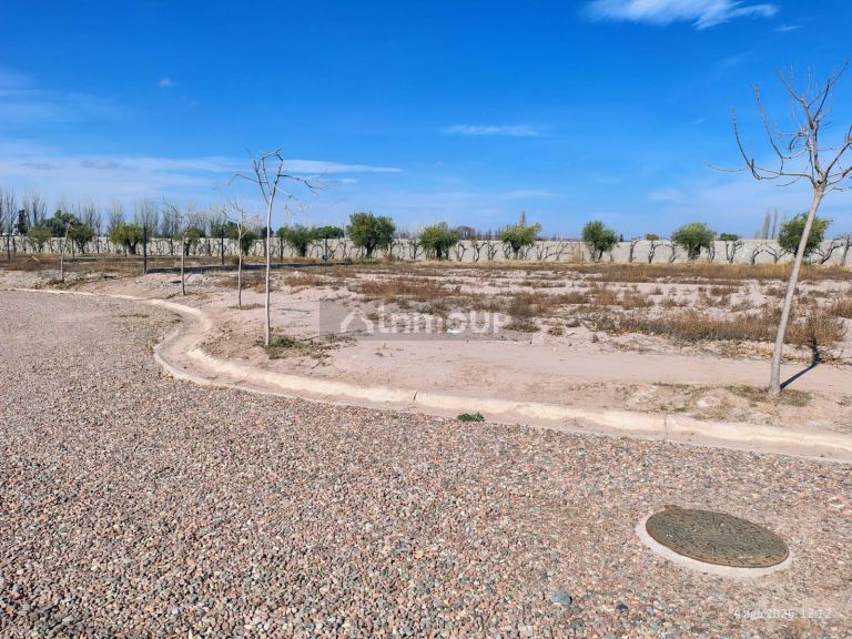 Lote en Venta en Lujan de Cuyo, Mendoza