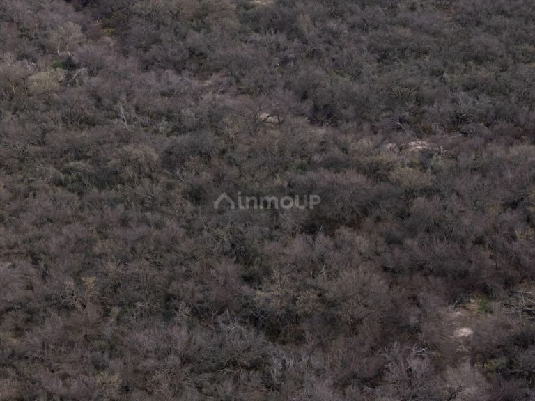 Campo en Venta en La Paz, Mendoza - USD 1.500.000 | Inmoup - 9