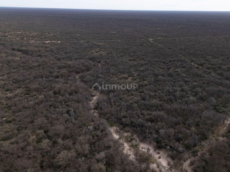 Campo en Venta en La Paz, Mendoza - USD 1.500.000 | Inmoup - 6