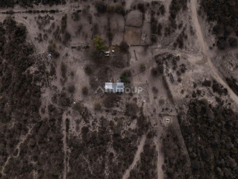 Campo en Venta en La Paz, Mendoza - USD 1.500.000 | Inmoup - 10