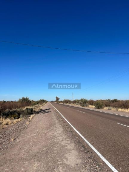 Campo en Venta en Santa Rosa, Mendoza - USD 45.000 | Inmoup - 7