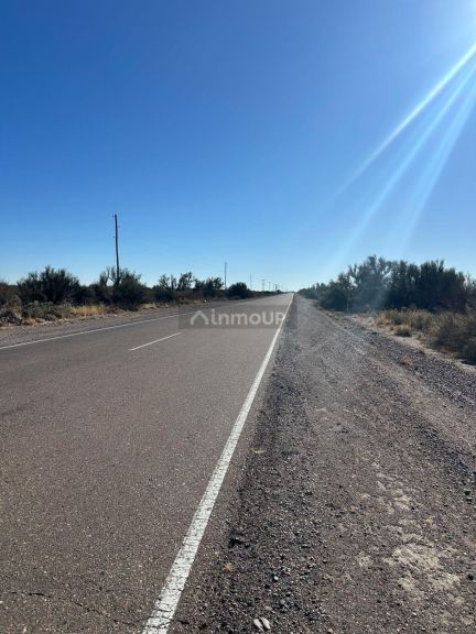 Campo en Venta en Santa Rosa, Mendoza - USD 45.000 | Inmoup - 6