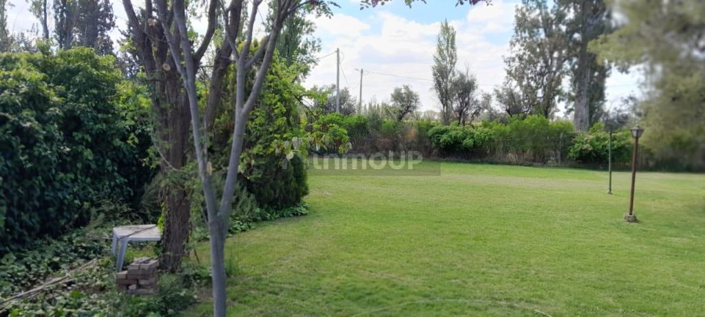 Terreno en Venta en Lujan de Cuyo, Mendoza