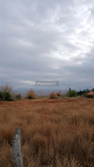 Lote en Venta en San Martin, Mendoza