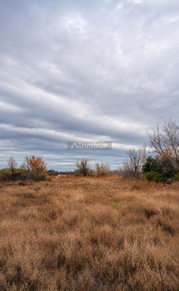 Lote en Venta en San Martin, Mendoza