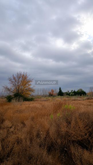 Lote en Venta en San Martin, Mendoza