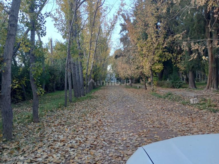 Lote en Venta en Lujan de Cuyo, Mendoza