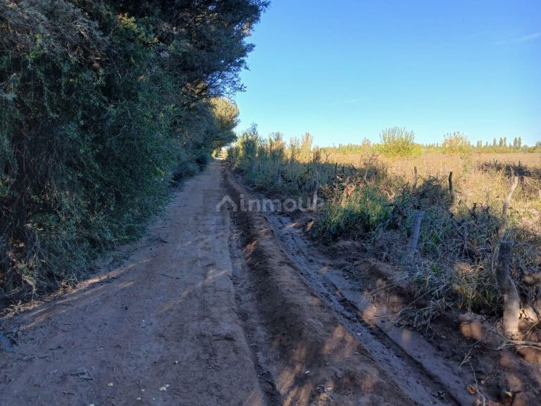 Finca en Venta en Lavalle, Mendoza