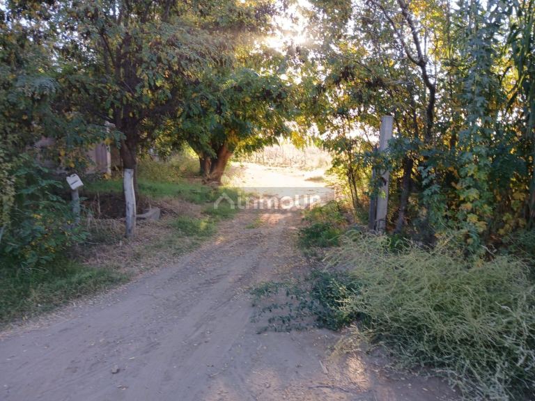Finca en Venta en Lavalle, Mendoza