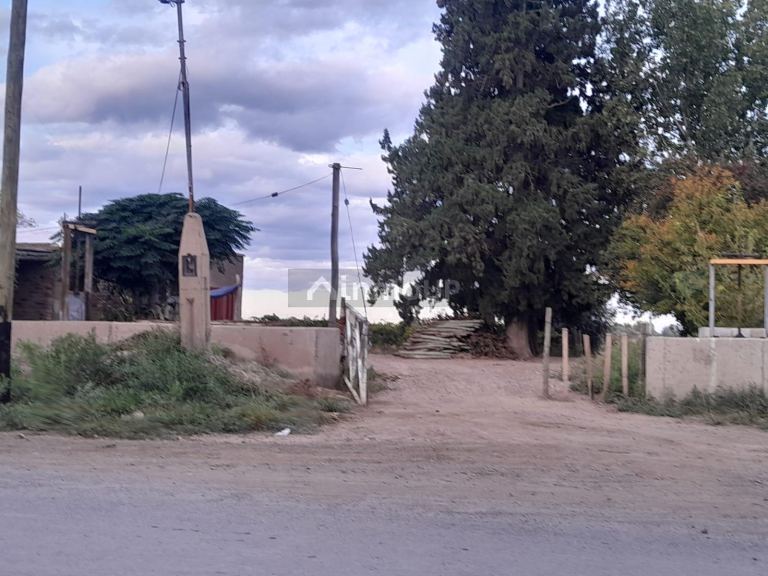 Finca en Venta en Lavalle, Mendoza