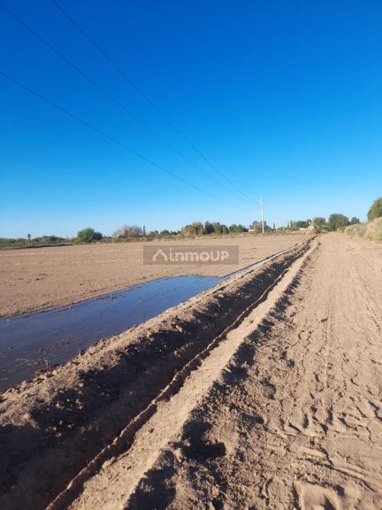 Finca en Venta en Lavalle, Mendoza