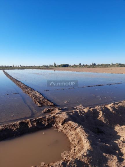 Finca en Venta en Lavalle, Mendoza