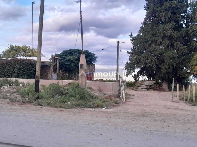 Finca en Venta en Lavalle, Mendoza