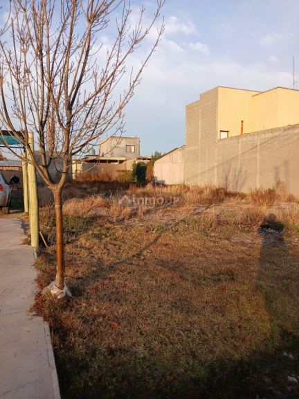 Lote en Venta en Lujan de Cuyo, Mendoza