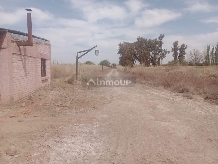 Finca en Venta en Lavalle, Mendoza