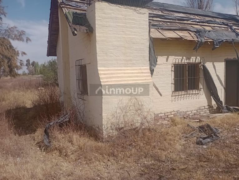 Finca en Venta en Lavalle, Mendoza
