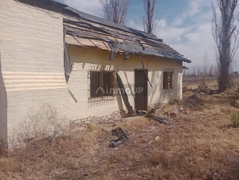 Finca en Venta en Lavalle, Mendoza