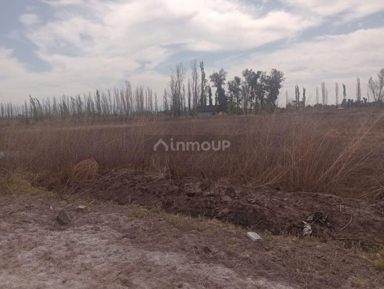 Finca en Venta en Lavalle, Mendoza