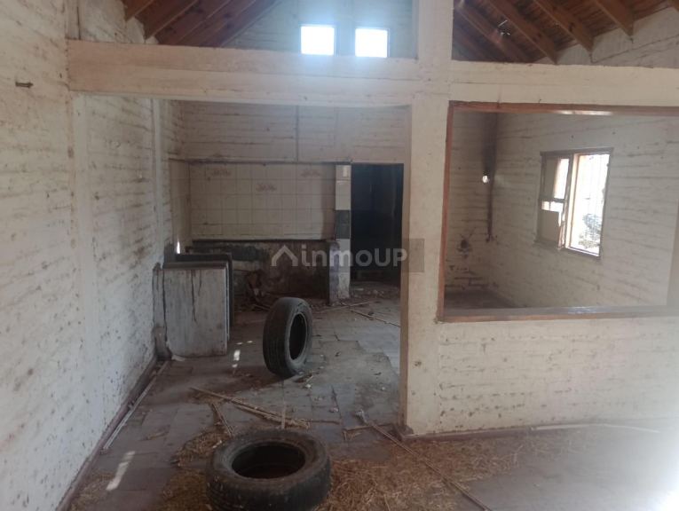 Finca en Venta en Lavalle, Mendoza