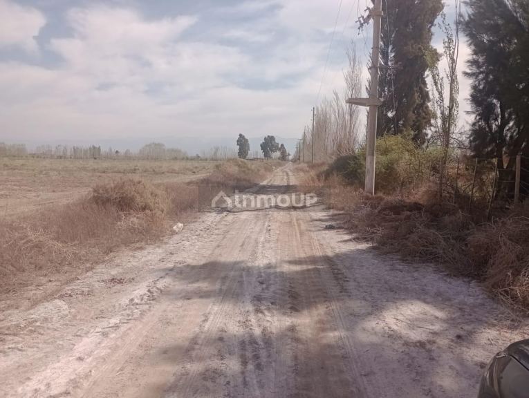 Finca en Venta en Lavalle, Mendoza