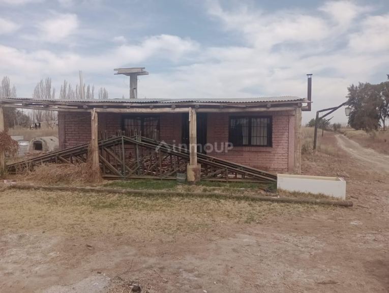 Finca en Venta en Lavalle, Mendoza