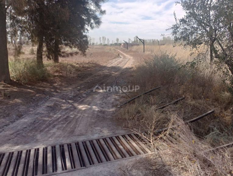 Finca en Venta en Lavalle, Mendoza