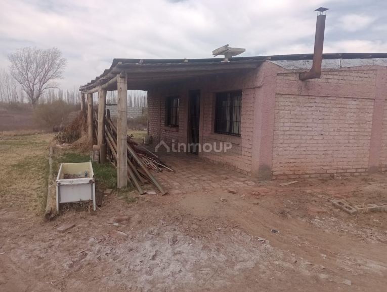 Finca en Venta en Lavalle, Mendoza