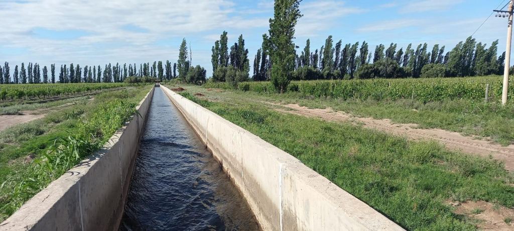 Finca en Venta en Lavalle, Mendoza