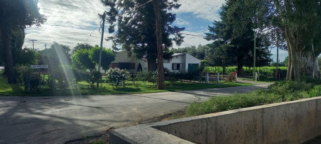 Finca en Venta en Lavalle, Mendoza