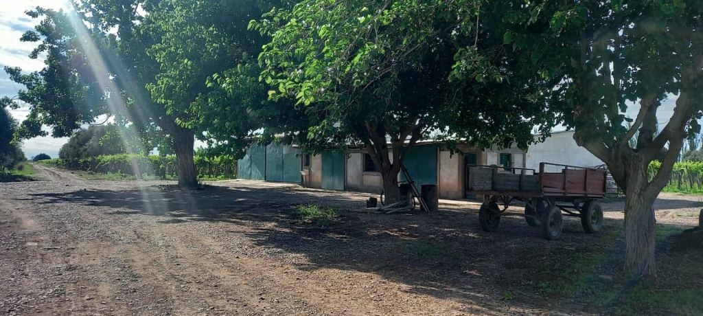 Finca en Venta en Lavalle, Mendoza