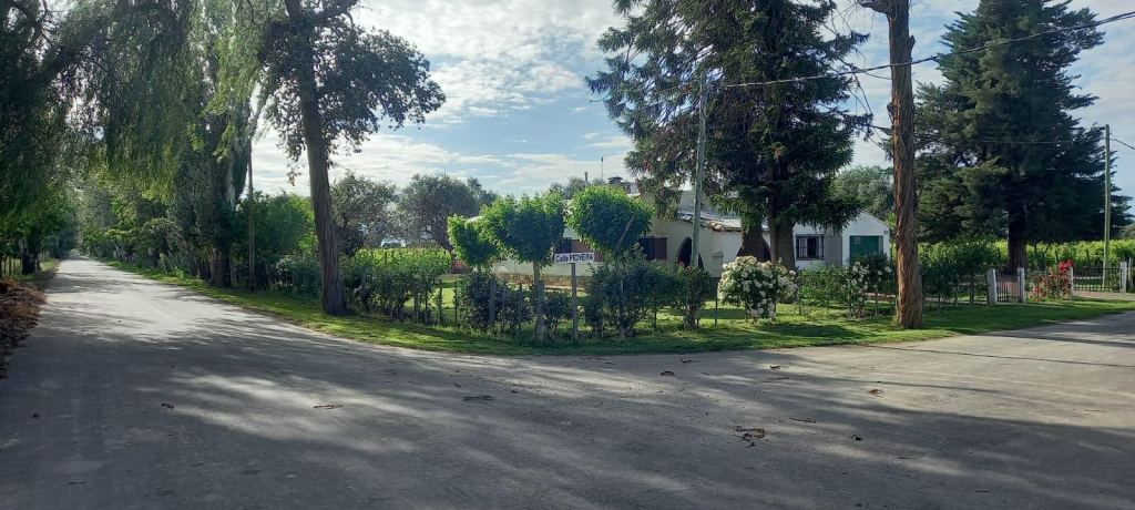 Finca en Venta en Lavalle, Mendoza