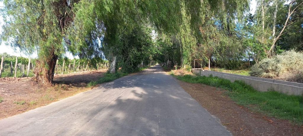 Finca en Venta en Lavalle, Mendoza