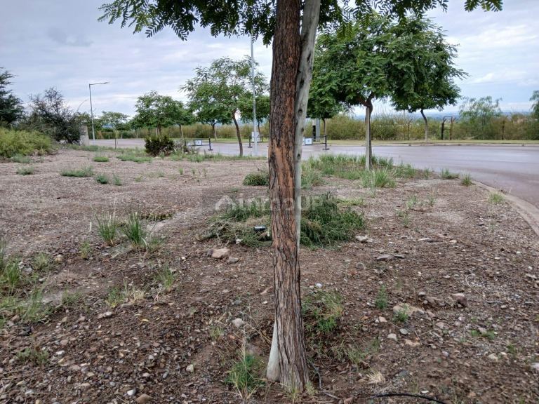 Lote en Venta en Las Heras, Mendoza