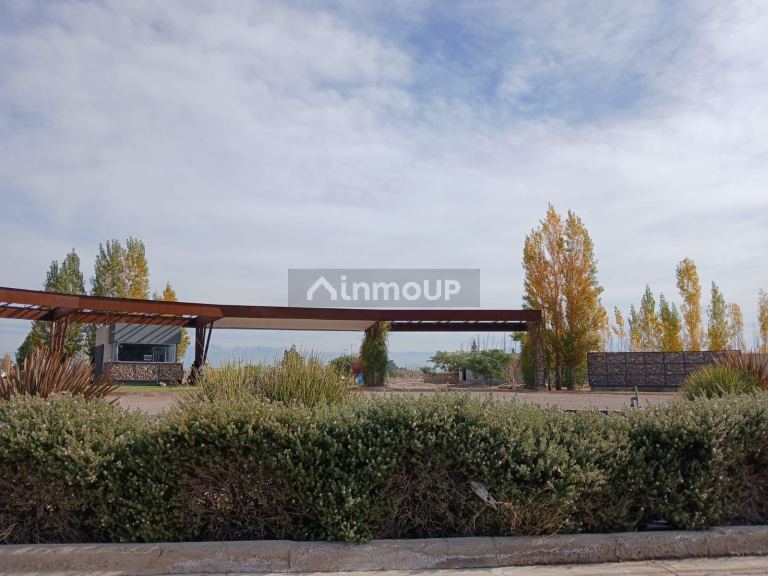 Lote en Venta en Maipu, Mendoza