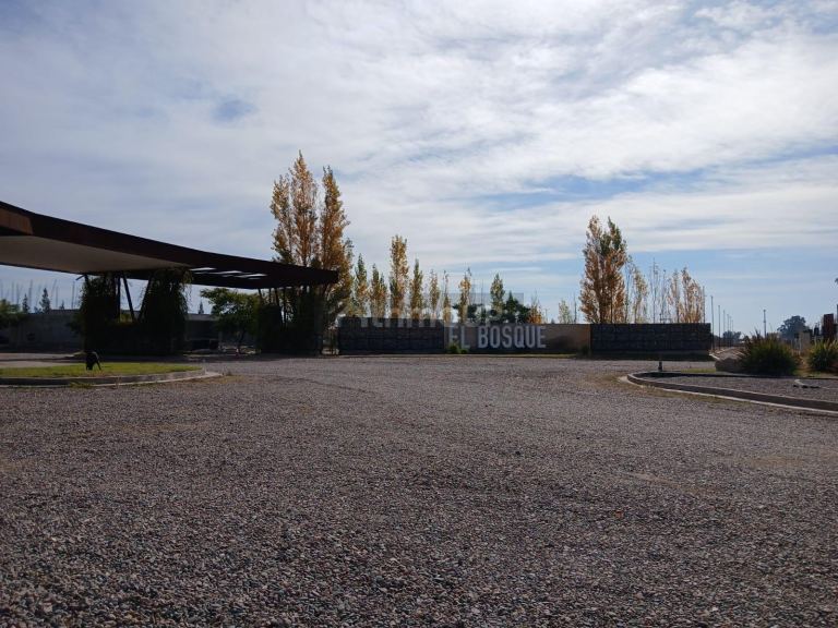 Lote en Venta en Maipu, Mendoza