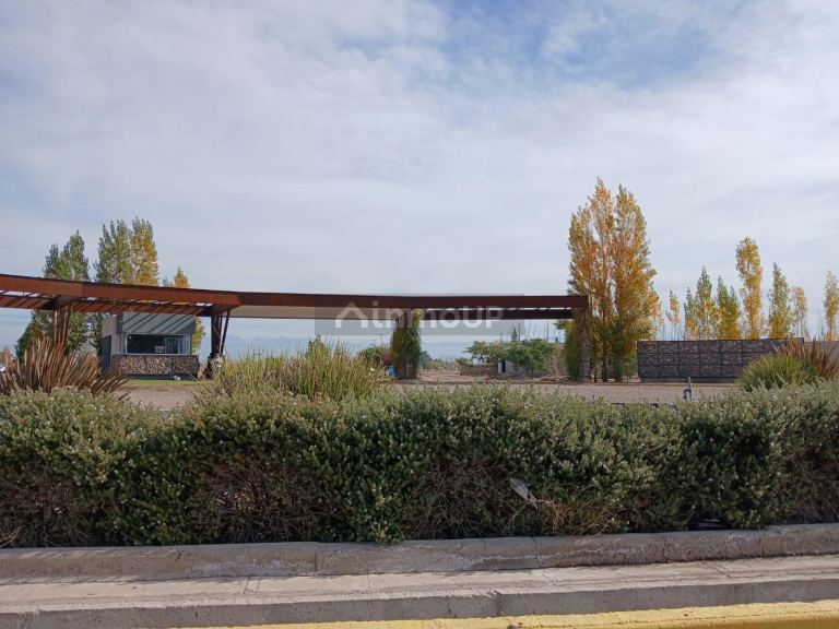 Lote en Venta en Maipu, Mendoza