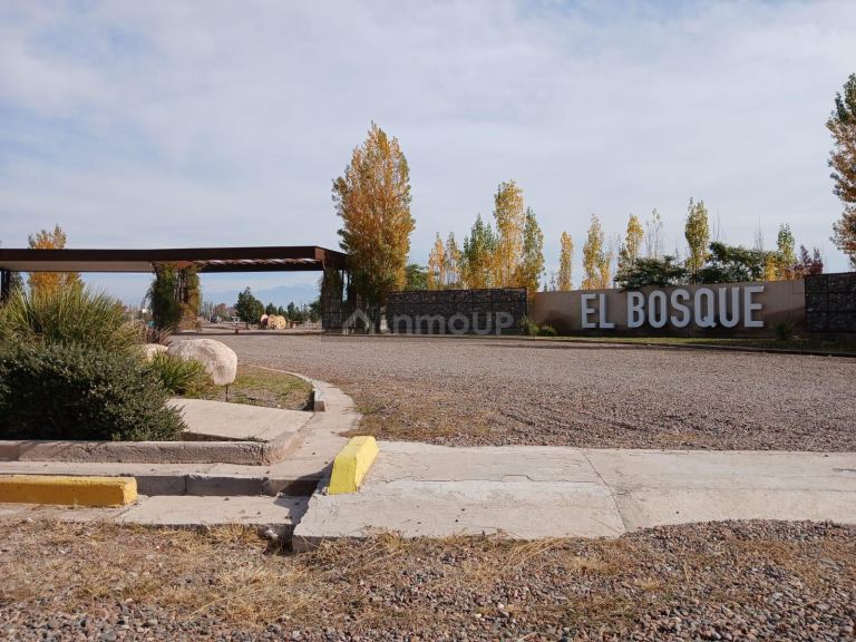 Lote en Venta en Maipu, Mendoza