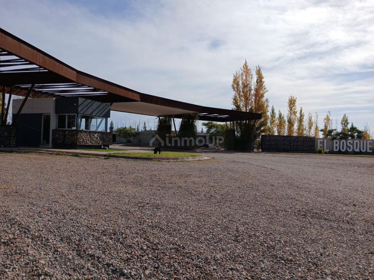 Lote en Venta en Maipu, Mendoza