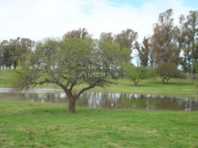 Rosario Chacras del Rincón