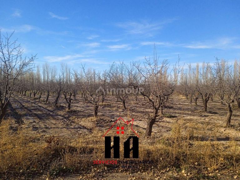 Finca en Venta en San Rafael, Mendoza