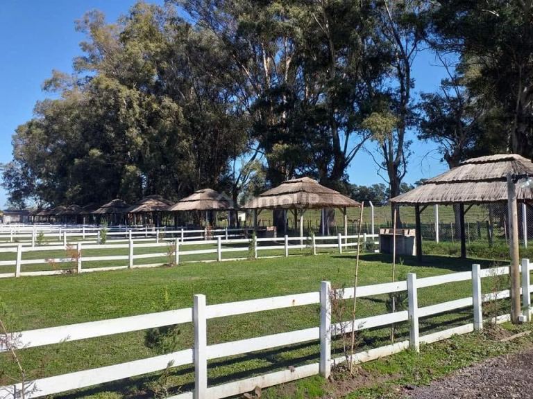 Terreno en Venta en General Rodriguez, G.B.A. Zona Oeste